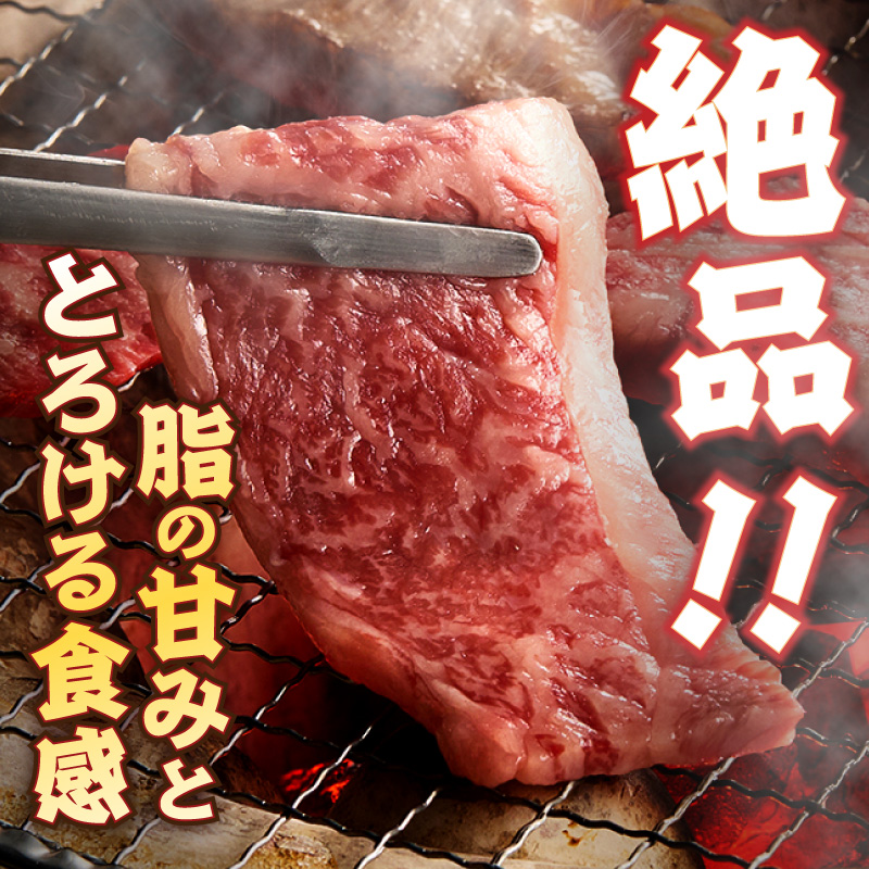 大浦和牛焼肉セット(1kg)《 牛肉 牛 国産 焼肉 セット おすすめ ロース 美味しい 牛タン ハラミ ヘレ フィレ ヒレ ヒレ肉 食べ比べ バーベキュー 》【2405A00206】