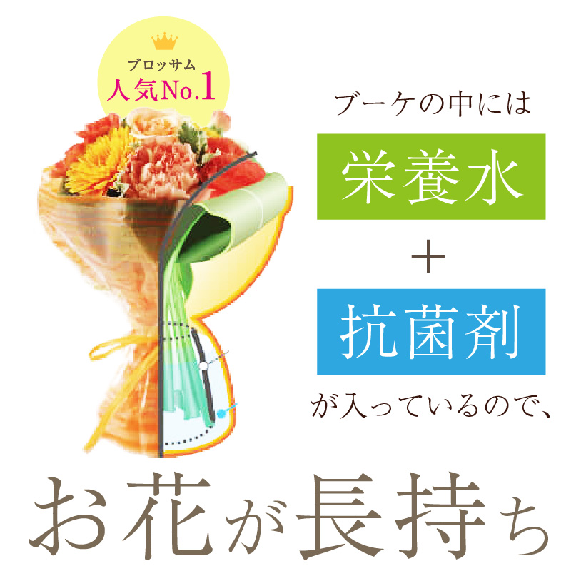 縲舌◎縺ョ縺セ縺セ鬟セ繧後k繝悶シ繧ア縲代ヵ繝ャ繝ウ繝√ヶ繝シ繧ア(L繧オ繧、繧コ)縲5濶イ繧ォ繝ゥ繝舌Μ螻暮幕縲代2403U03807縲