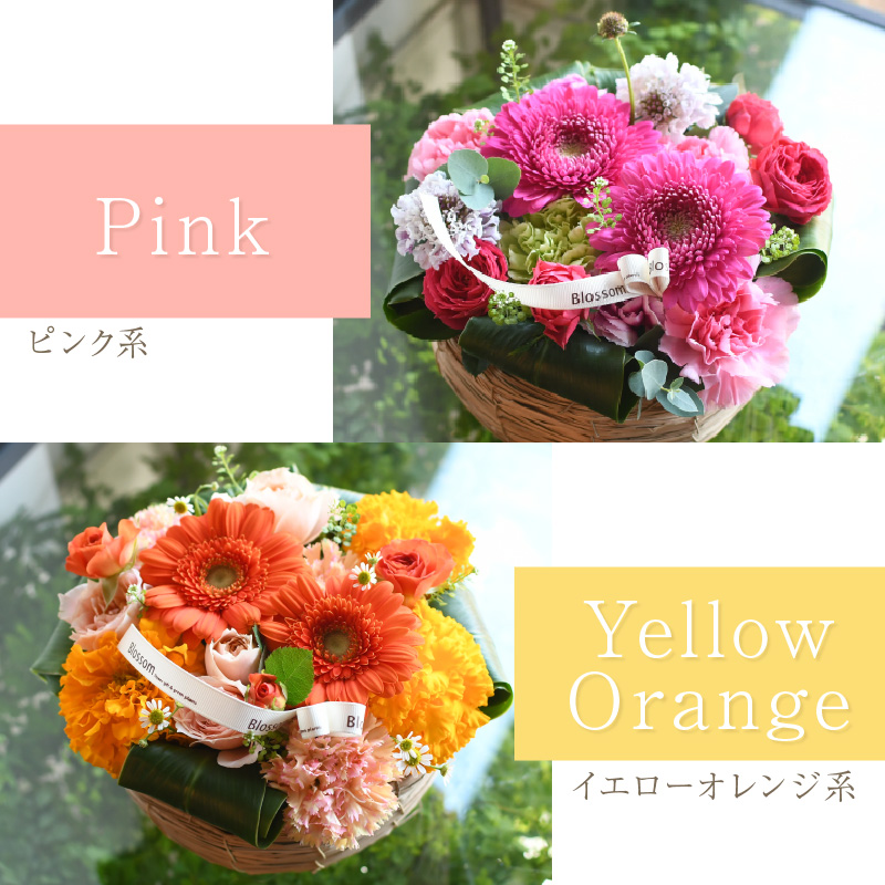 縲舌ヵ繝ゥ繝ッ繝シ繧「繝ャ繝ウ繧ク繝。繝ウ繝医代ヱ繝ェ繧ケ繧ソ繧、繝ォ繧「繝ャ繝ウ繧ク繝。繝ウ繝(M繧オ繧、繧コ)縲5濶イ繧ォ繝ゥ繝舌Μ螻暮幕縲代2402U03805縲