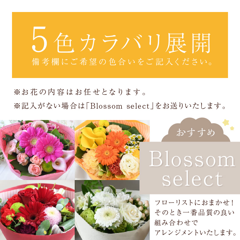 縲舌◎縺ョ縺セ縺セ鬟セ繧後k繝悶シ繧ア縲代ヵ繝ャ繝ウ繝√ヶ繝シ繧ア(S繧オ繧、繧コ)縲5濶イ繧ォ繝ゥ繝舌Μ螻暮幕縲代2401U03803縲
