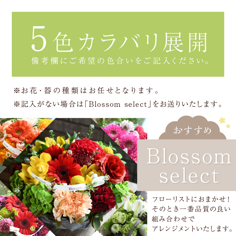 縲舌ヵ繝ゥ繝ッ繝シ繧「繝ャ繝ウ繧ク繝。繝ウ繝医代ヱ繝ェ繧ケ繧ソ繧、繝ォ繧「繝ャ繝ウ繧ク繝。繝ウ繝(M繧オ繧、繧コ)縲5濶イ繧ォ繝ゥ繝舌Μ螻暮幕縲代2402U03805縲