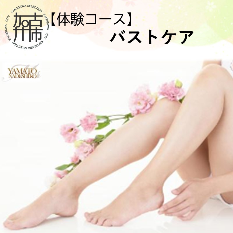 【体験コース】バストケア《 美容 バスト エステ 体験 女性 ご褒美 贅沢 息抜き 》【118004L000】