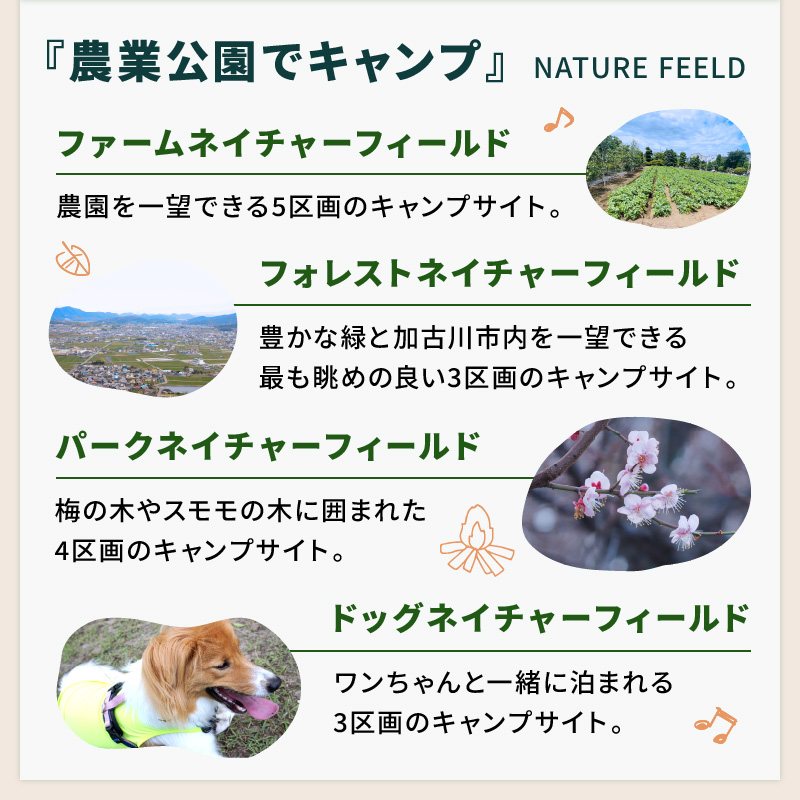 遊んで、食べて、泊まれる！「みとろの丘」ふるさと納税限定利用券(3000円×15枚)《 体験 自然 宿泊券 チケット クーポン 》【148003L000】