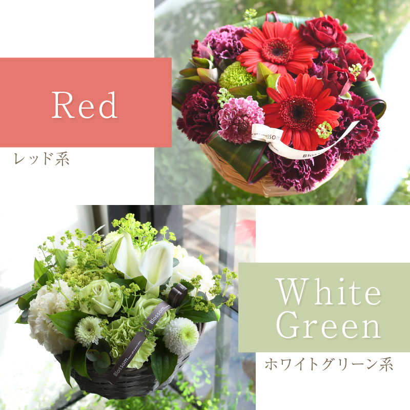 縲舌ヵ繝ゥ繝ッ繝シ繧「繝ャ繝ウ繧ク繝。繝ウ繝医代ヱ繝ェ繧ケ繧ソ繧、繝ォ繧「繝ャ繝ウ繧ク繝。繝ウ繝(L繧オ繧、繧コ)縲5濶イ繧ォ繝ゥ繝舌Μ螻暮幕縲代2403U03806縲