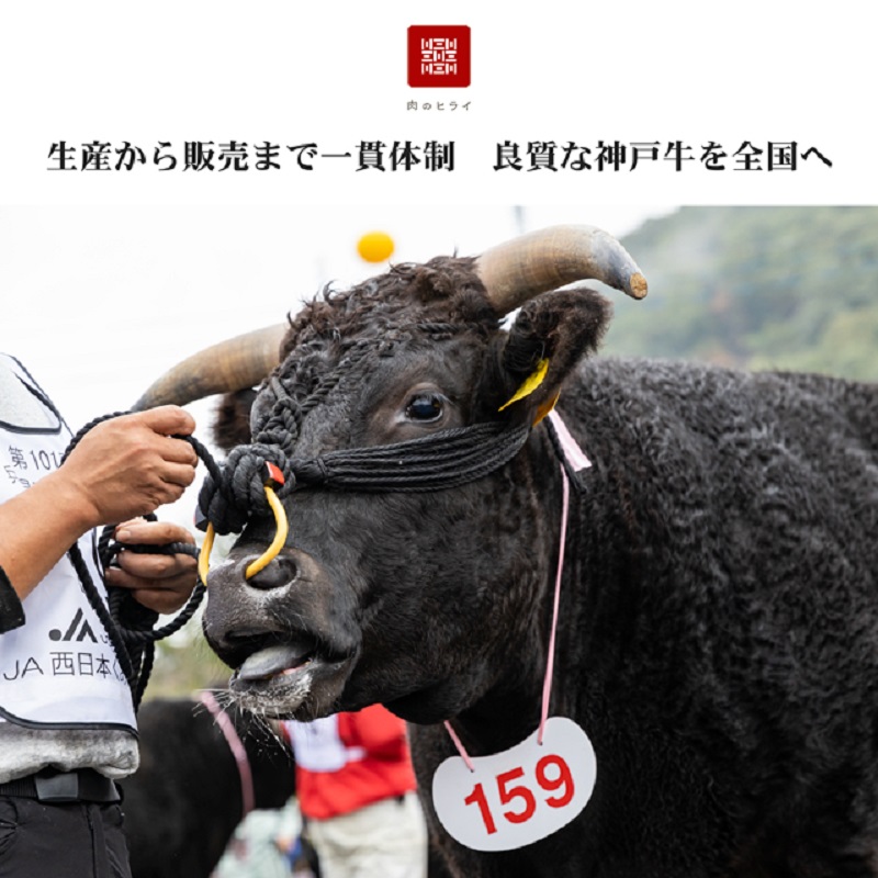 èªç€Ÿç§å ŽçŽéç¥æžç6ç¹é£ã¹æ¯ã¹çŒèïŒ600gïŒã2403A00104ã