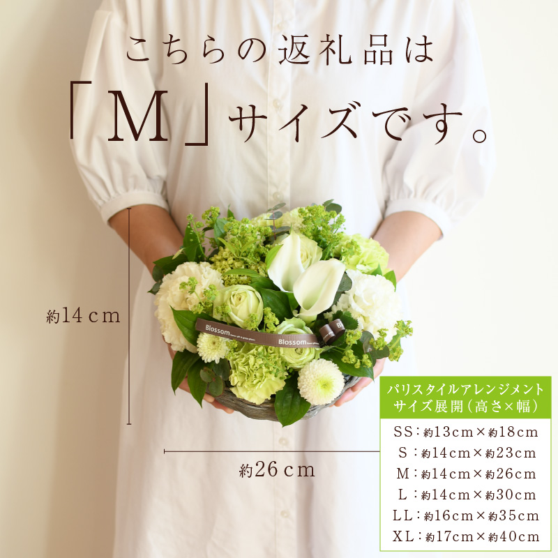 縲舌ヵ繝ゥ繝ッ繝シ繧「繝ャ繝ウ繧ク繝。繝ウ繝医代ヱ繝ェ繧ケ繧ソ繧、繝ォ繧「繝ャ繝ウ繧ク繝。繝ウ繝(M繧オ繧、繧コ)縲5濶イ繧ォ繝ゥ繝舌Μ螻暮幕縲代2402U03805縲