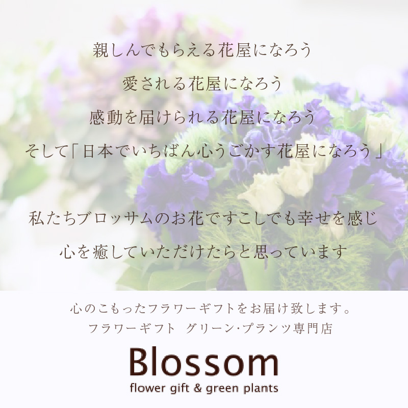 縲舌ヵ繝ゥ繝ッ繝シ繧「繝ャ繝ウ繧ク繝。繝ウ繝医代ヱ繝ェ繧ケ繧ソ繧、繝ォ繧「繝ャ繝ウ繧ク繝。繝ウ繝(M繧オ繧、繧コ)縲5濶イ繧ォ繝ゥ繝舌Μ螻暮幕縲代2402U03805縲
