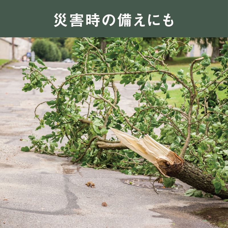 musashi PCS-6001 å
é»åŒãã³ãã£ïŒããŒã«ãã§ãŒã³ãœãŒ ã ãã§ãŒã³ãœãŒ å
é»åŒ å°å å
é»åŒãã§ãŒã³ãœãŒ åªå®ã°ãã¿ åªå®ããµã åªå® é»å 䌞瞮 å
é» é»åã®ããã ã®ããã ãã³ã®ãª ã³ãŒãã¬ã¹ ã ãµã· ãã³ã㣠DIY ãã2406O10822ã