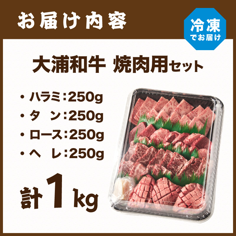 大浦和牛焼肉セット(1kg)《 牛肉 牛 国産 焼肉 セット おすすめ ロース 美味しい 牛タン ハラミ ヘレ フィレ ヒレ ヒレ肉 食べ比べ バーベキュー 》【2405A00206】