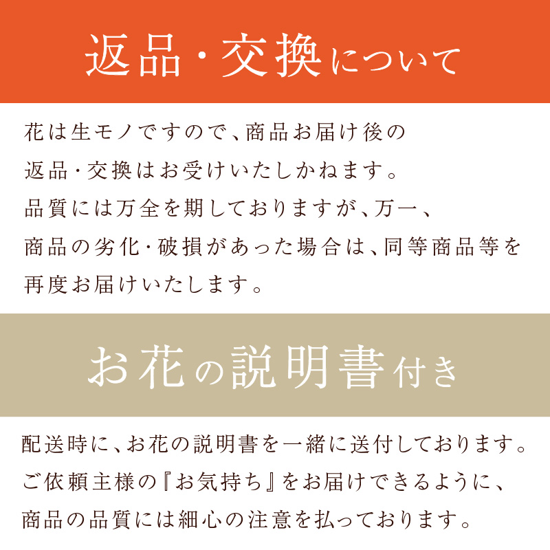 縲舌ヵ繝ゥ繝ッ繝シ繧「繝ャ繝ウ繧ク繝。繝ウ繝医代ヱ繝ェ繧ケ繧ソ繧、繝ォ繧「繝ャ繝ウ繧ク繝。繝ウ繝(M繧オ繧、繧コ)縲5濶イ繧ォ繝ゥ繝舌Μ螻暮幕縲代2402U03805縲