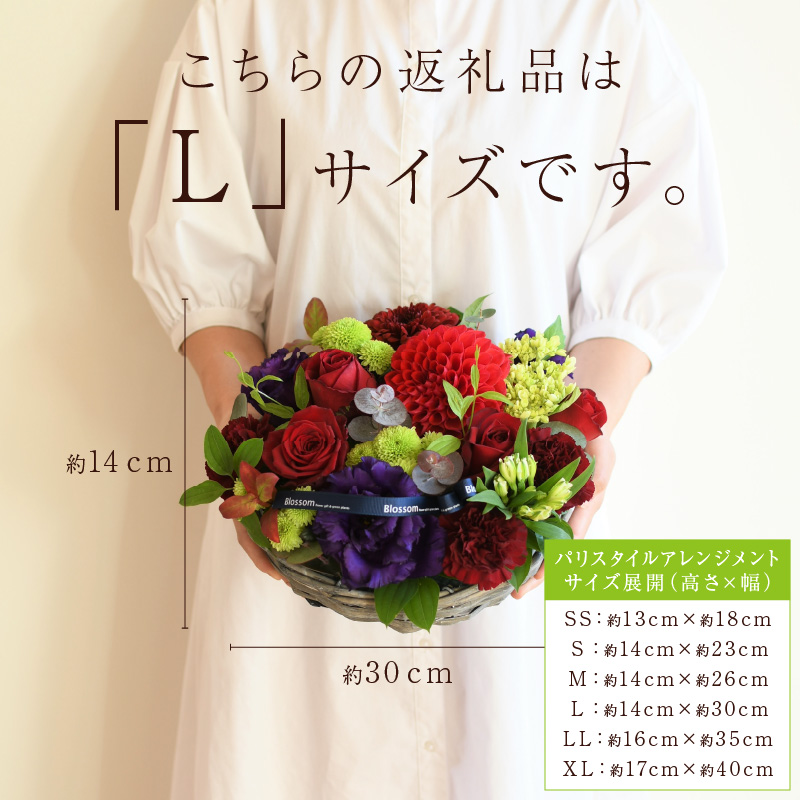 縲舌ヵ繝ゥ繝ッ繝シ繧「繝ャ繝ウ繧ク繝。繝ウ繝医代ヱ繝ェ繧ケ繧ソ繧、繝ォ繧「繝ャ繝ウ繧ク繝。繝ウ繝(L繧オ繧、繧コ)縲5濶イ繧ォ繝ゥ繝舌Μ螻暮幕縲代2403U03806縲