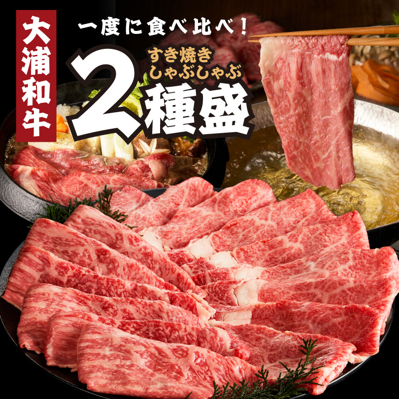 螟ァ豬ヲ蜥檎央縺吶″繧縺阪サ縺励c縺カ繧サ繝繝茨シ1kgシ峨2405A00207縲