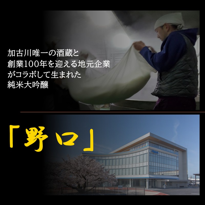 ★新酒★日本酒 「野口」純米大吟醸《 日本酒 酒 お酒 純米大吟醸 大吟醸 山田錦 》【2401F16301】