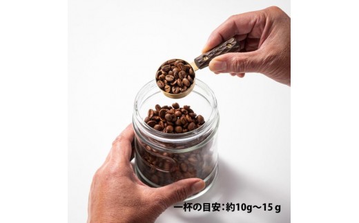 【FEDECA】コーヒーメジャースプーン マルチカラー 001161