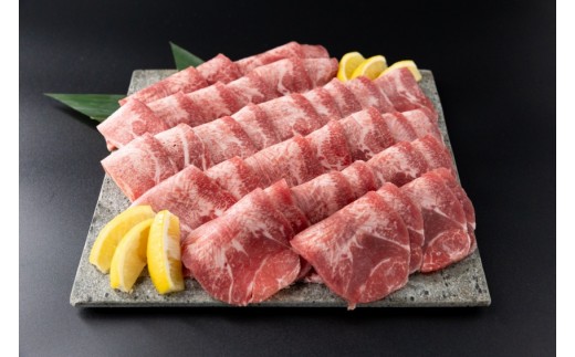 蜴壼繧顔央繧ソ繝ウ縲辟シ縺崎i逕ィ縲450ス