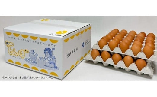 【オーイ！とんぼ×松田養鶏場コラボパッケージ】産地直送  松田養鶏場のひょうごの赤たまご60個（50個+割れ補償10個）