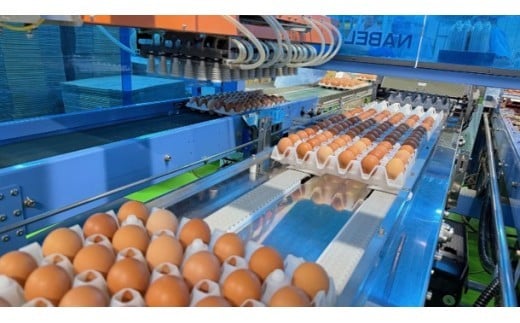 ããªãŒã€ïŒãšããŒÃæŸç°é€é¶å Žã³ã©ãããã±ãŒãžãç£å°çŽé æŸç°é€é¶å Žã®ã²ãããã®èµ€ããŸã60åïŒ50å+å²ãè£å10åïŒ