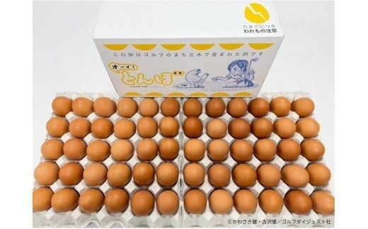 ããªãŒã€ïŒãšããŒÃæŸç°é€é¶å Žã³ã©ãããã±ãŒãžãç£å°çŽé æŸç°é€é¶å Žã®ã²ãããã®èµ€ããŸã60åïŒ50å+å²ãè£å10åïŒ