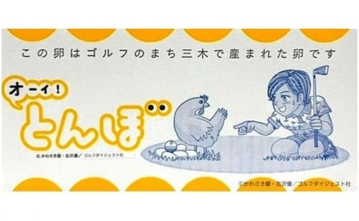 ããªãŒã€ïŒãšããŒÃæŸç°é€é¶å Žã³ã©ãããã±ãŒãžãç£å°çŽé æŸç°é€é¶å Žã®ã²ãããã®èµ€ããŸã60åïŒ50å+å²ãè£å10åïŒ