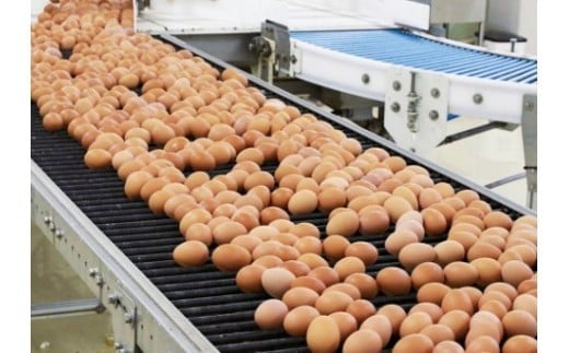 ããªãŒã€ïŒãšããŒÃæŸç°é€é¶å Žã³ã©ãããã±ãŒãžãç£å°çŽé æŸç°é€é¶å Žã®ã²ãããã®èµ€ããŸã60åïŒ50å+å²ãè£å10åïŒ