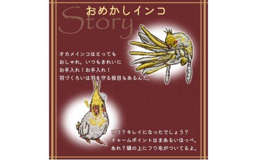 おはなし靴下 ギフトボックス オカメインコ キッズ ネイビー