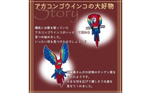 おはなし靴下 ギフトボックス アカコンゴウインコ キッズ ピンク