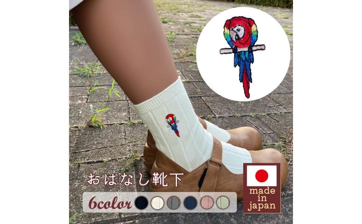 おはなし靴下 ギフトボックス アカコンゴウインコ キッズ グリーン