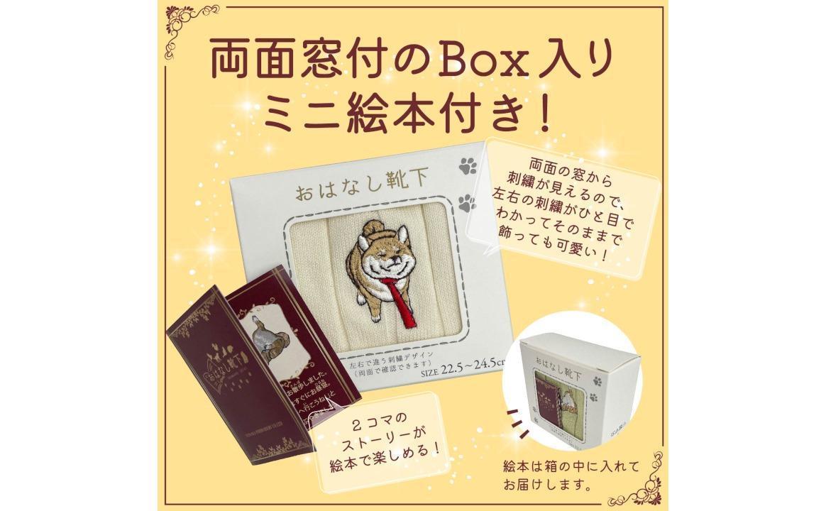 おはなし靴下 ギフトボックス 柴犬 レディース ネイビー