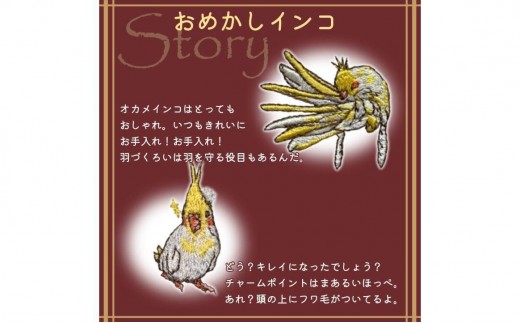 おはなし靴下 ギフトボックス オカメインコ レディース グリーン