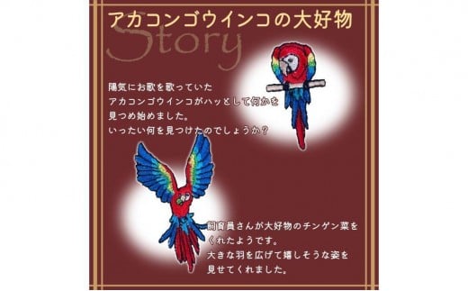 おはなし靴下 ギフトボックス アカコンゴウインコ レディース ピンク