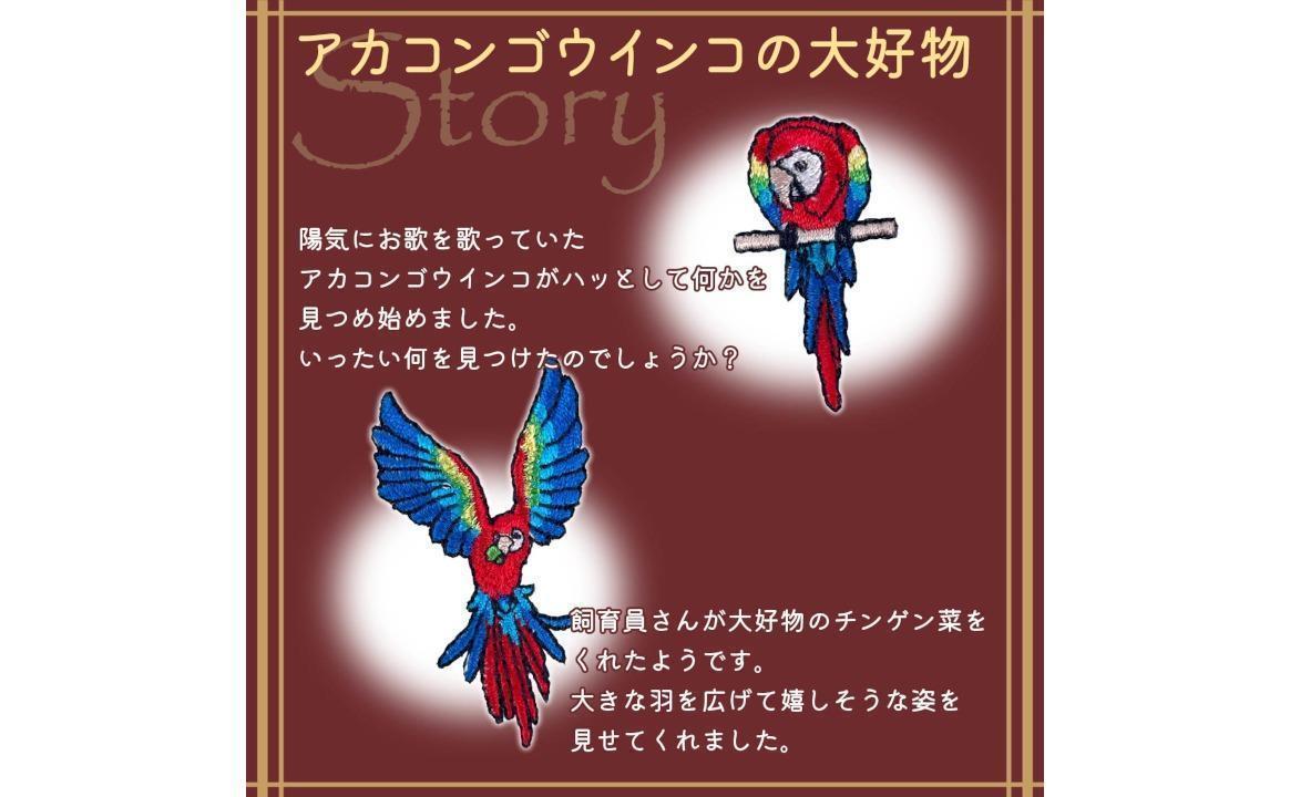 おはなし靴下 ギフトボックス アカコンゴウインコ レディース ピンク