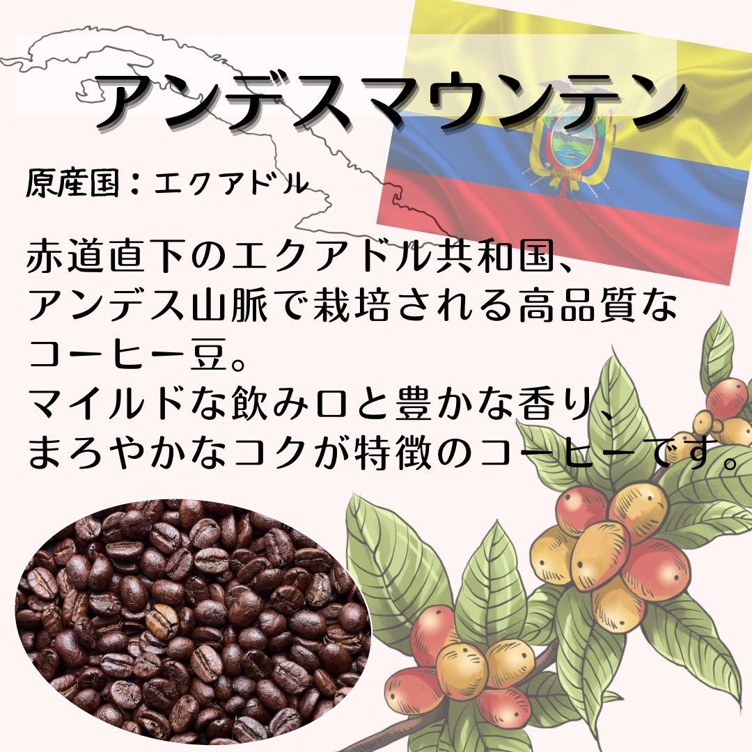 自家焙煎 プレミアム珈琲豆 3種セット（豆のまま）