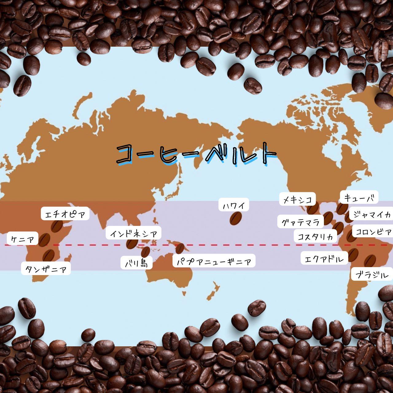 自家焙煎 プレミアム珈琲豆 3種セット（豆のまま）