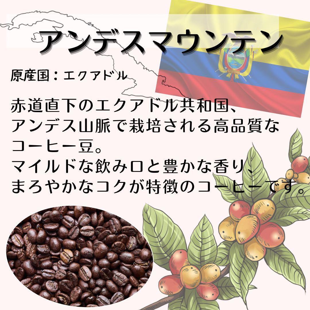 自家焙煎 プレミアム珈琲豆 3種セット（豆のまま）（6か月連続お届け）