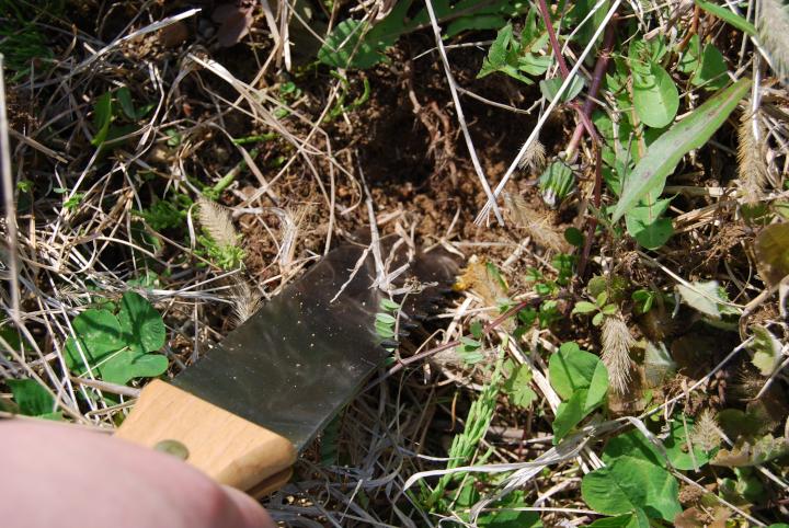 お庭ホリホリ グランドナイフ