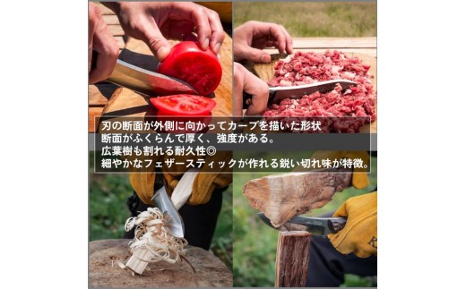 ãFEDECAãããã·ã¥ã¯ã©ãããã€ãåæ é»æª 001231