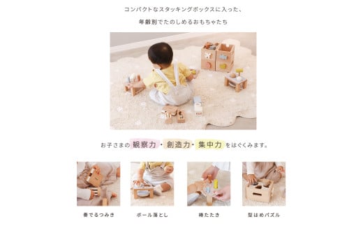 HOPPL（ホップル） スタッキングボックストイ あひる（ボール落とし） メッセージプレートなし（シンプルプレート）