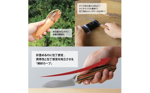 ãFEDECAãæç³åŒæçãã€ã åæ ãã¯ã€ã 001113