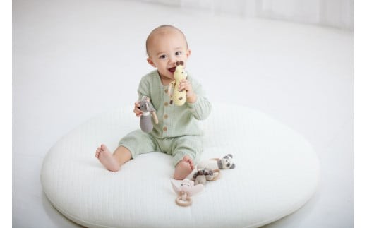 HOPPLïŒãããã«ïŒ amimals ãããŒãžã ã»ãã ã·ãŒã°ãªãŒã³ïŒãã¹ã³ãã