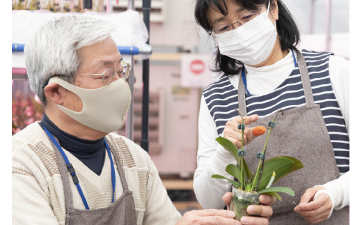 荳画惠蟶ゅ〒閧イ縺ヲ縺溷、ァ蜥後ワ繧ヲ繧ケ縺ョ繝溘ル閭。陜カ陂ュ COCOLAN 繧ッ繝ッ繝医Ο縲舌♀闃ア縺ョ濶イ縺贋ササ縺帙