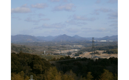 吟薫る山田錦入りビール第二弾「吟米麦酒」赤　11本セット