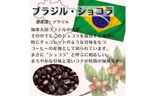 【定期便】自家焙煎 人気珈琲豆 3種セット（6か月）（豆のまま）