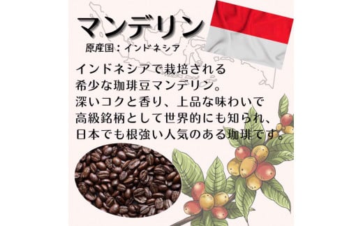 自家焙煎 人気珈琲豆 3種セット（挽き）