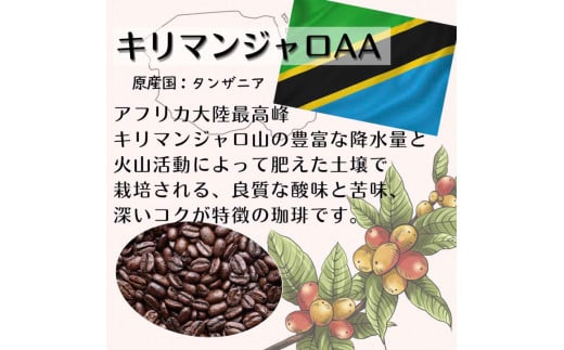 自家焙煎 人気珈琲豆 3種セット（豆のまま）