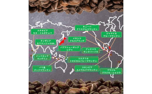 自家焙煎 人気珈琲豆 3種セット（豆のまま）