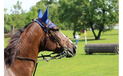 宿泊・ホーストレッキングセット利用券