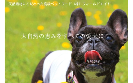 犬のおやつ 小袋5点セット