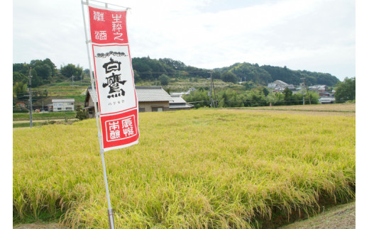 白鷹　吟醸純米 超特撰白鷹1.8L　1本入