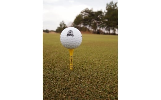 çŸå¥æšãŽã«ãå¶æ¥œéšã§äœ¿ããå©çšåžïŒ3,000ååïŒ