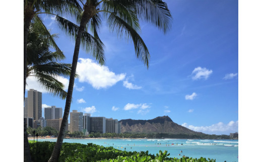 【楽園のコーヒー】ハワイ・モロカイとブルーマウンテン各75g（挽き）